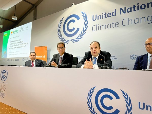 ICARDA Climate Smart activities