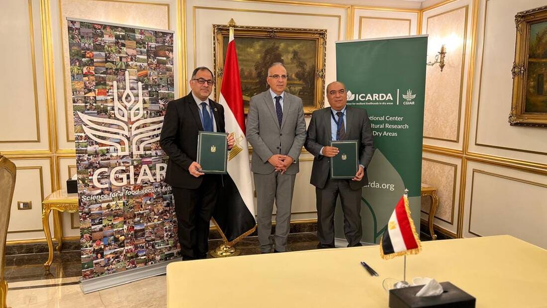 Egypt Ministry of Water collaboration