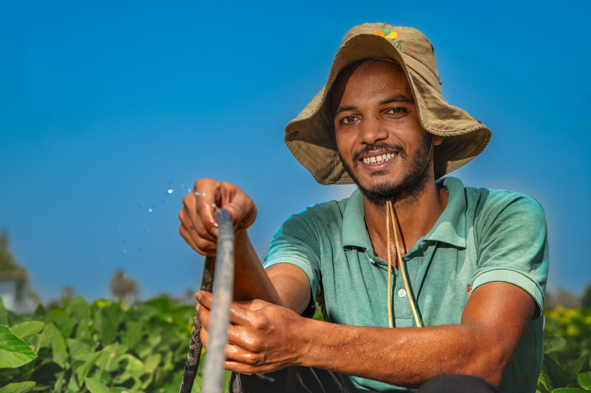 ICARDA Annual Report 2024 - SWA