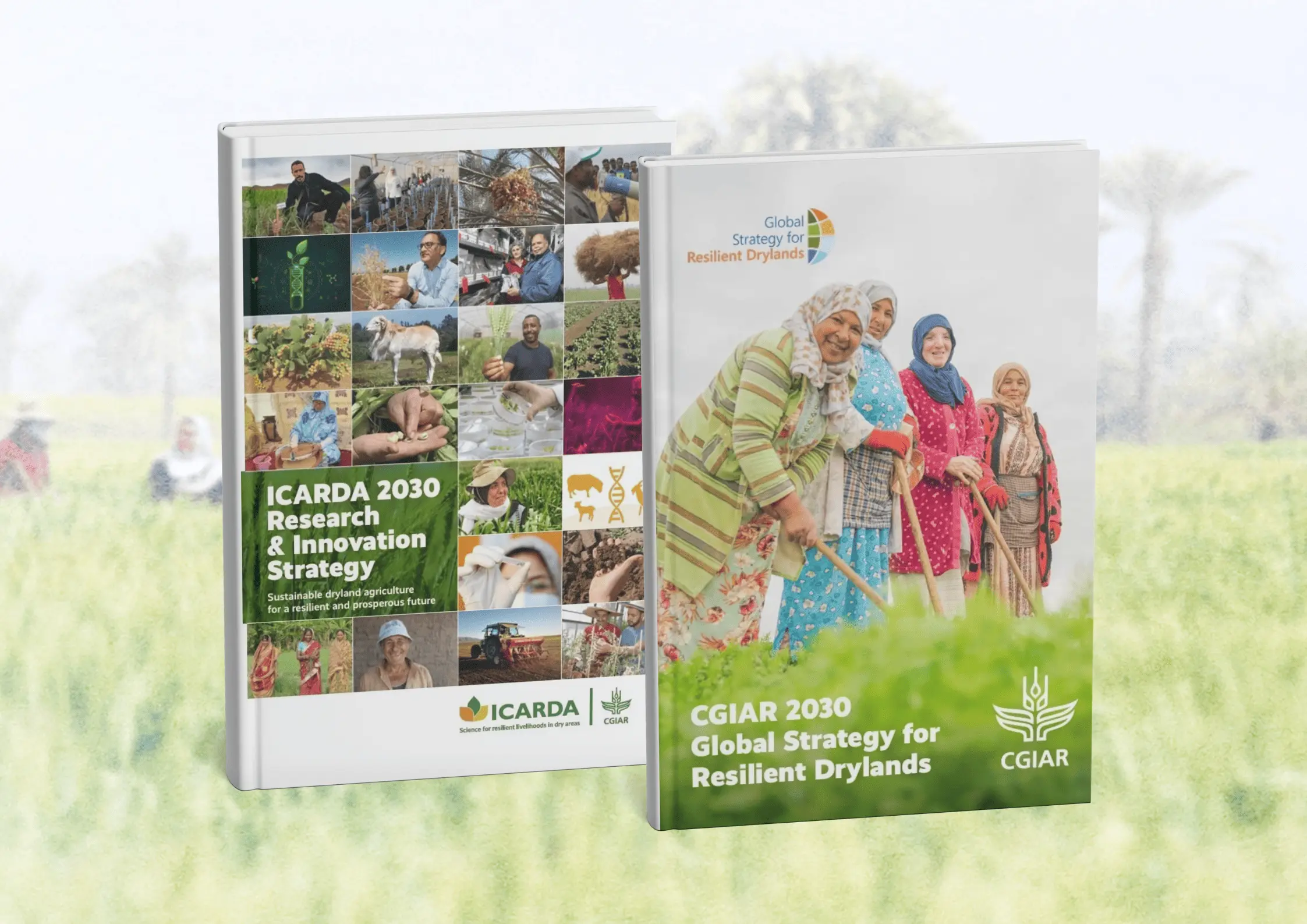 CGIAR Global Strategy for Resilient Drylands