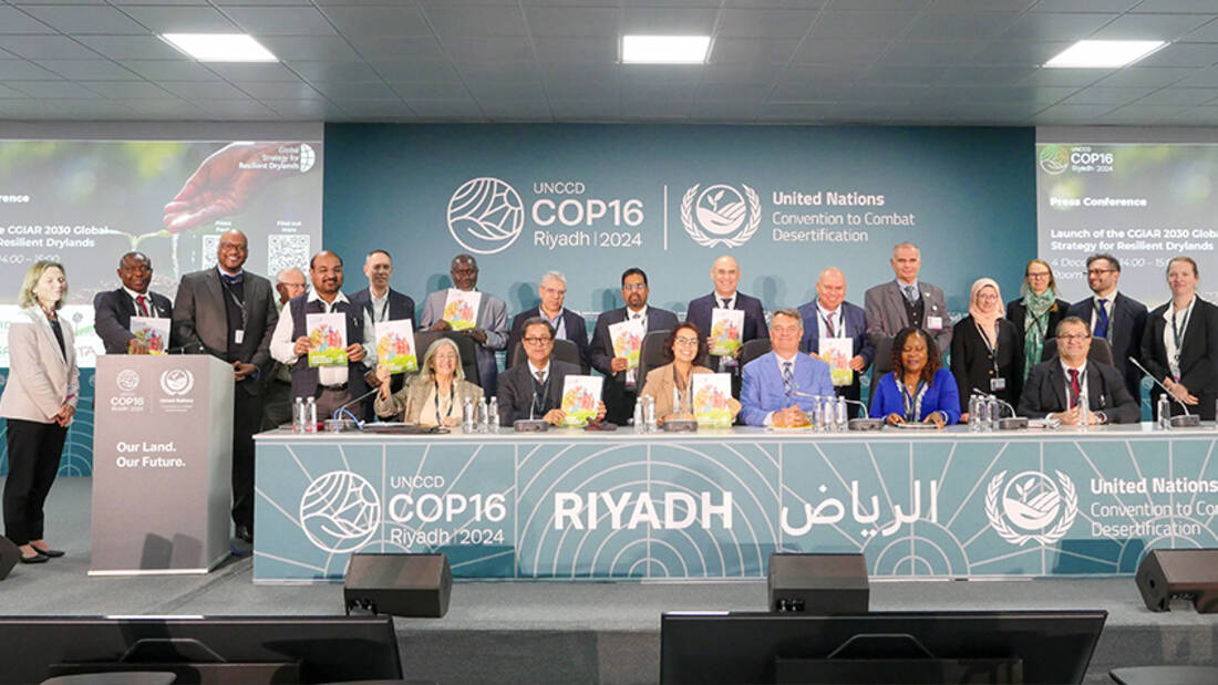 Discussions at the Climate (UNFCCC) COP29