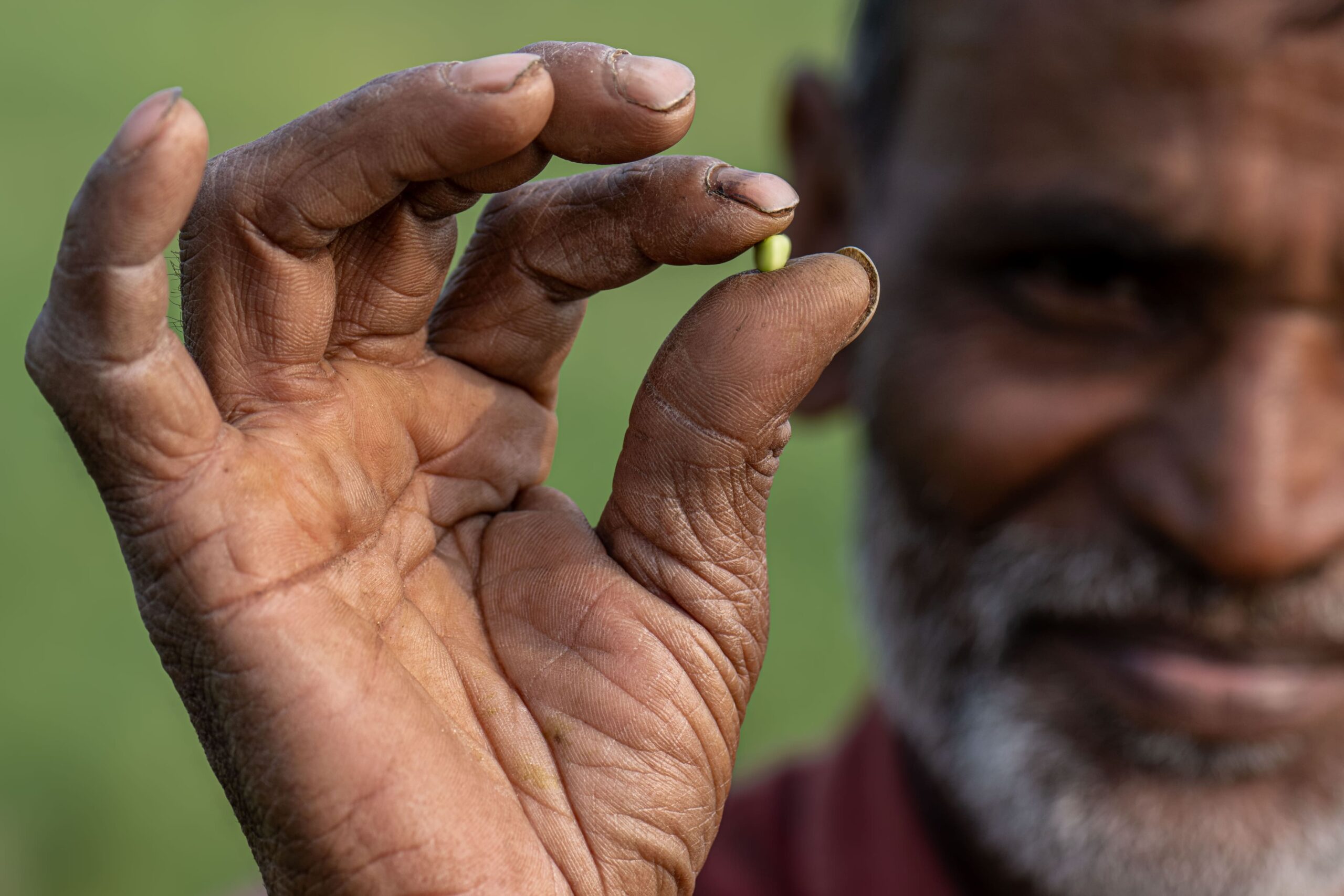 ICARDA Annual Report 2024 - Safeguarding the Future of Food in a Climate Crisis
