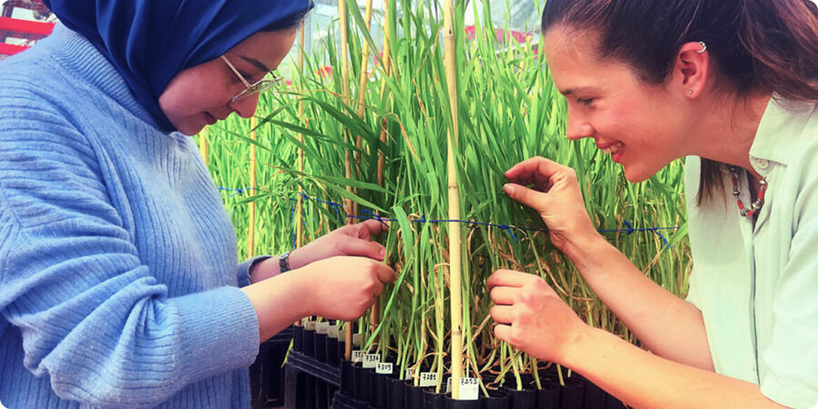 Capacity development - Breaking Barriers For Women and Youth in Food Systems Science
